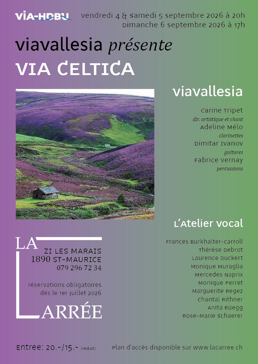 Affiche du spectacle Via Celtica